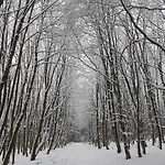 Mia * Winterberg