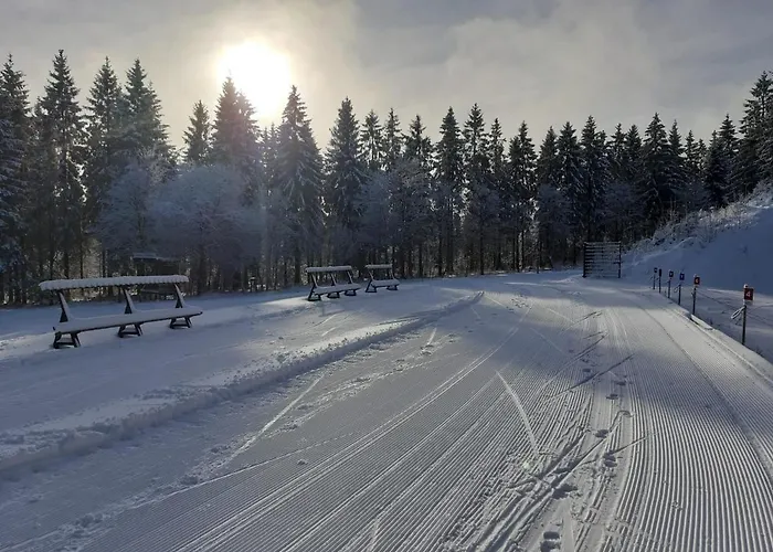 Mia Apartment Winterberg